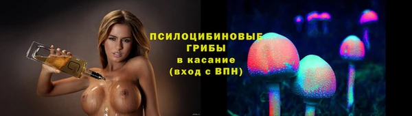мяу мяу мука Арсеньев