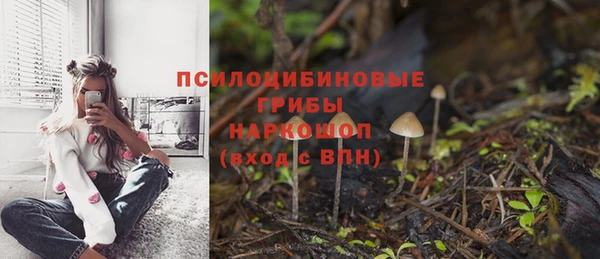 таблы Армянск