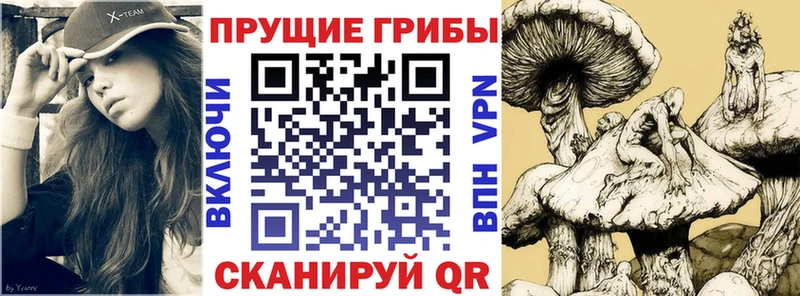 Галлюциногенные грибы Cubensis  где найти   OMG ONION  Голицыно 